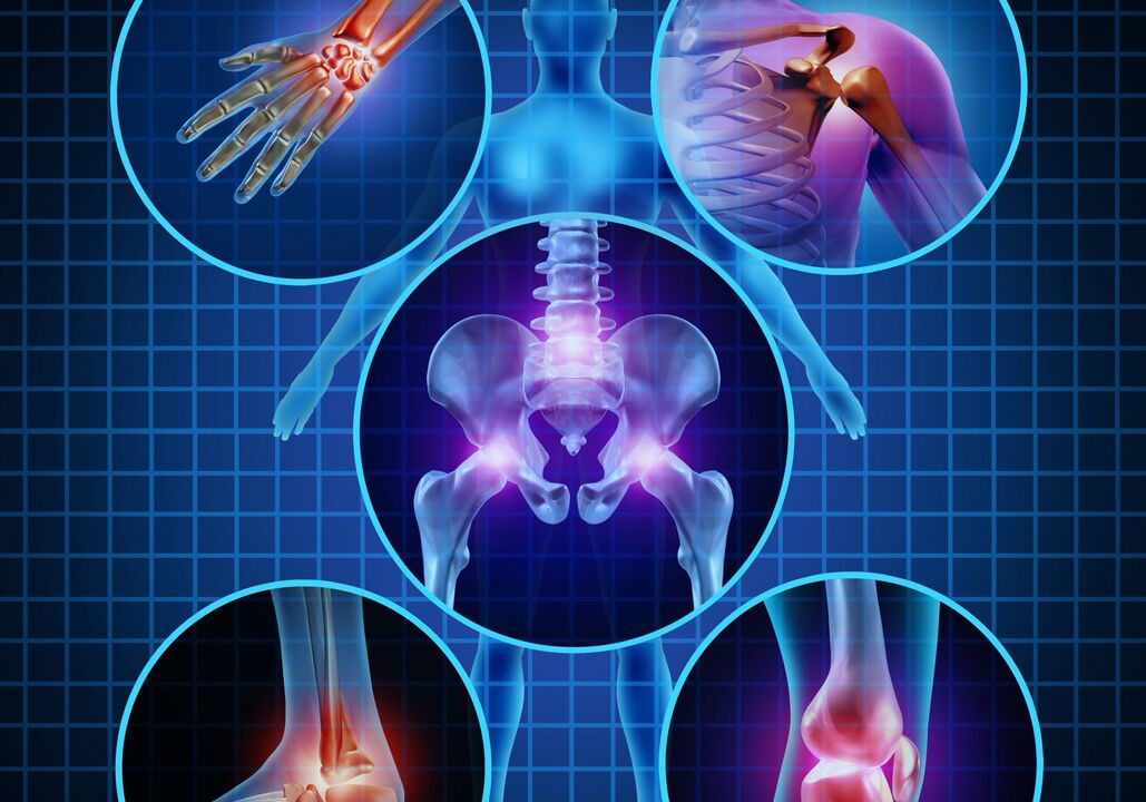 Articulations pouvant être affectées par l’arthrose.
